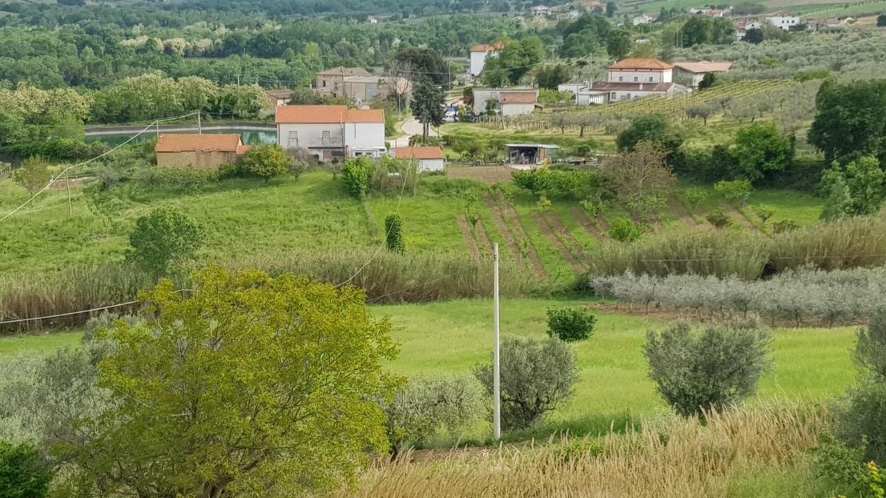 Domus Quarticelli Costa Dei Trabocchi Apartamento Torino di Sangro Exterior foto