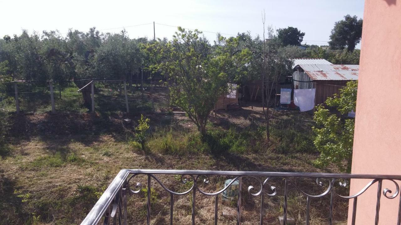 Domus Quarticelli Costa Dei Trabocchi Apartamento Torino di Sangro Exterior foto