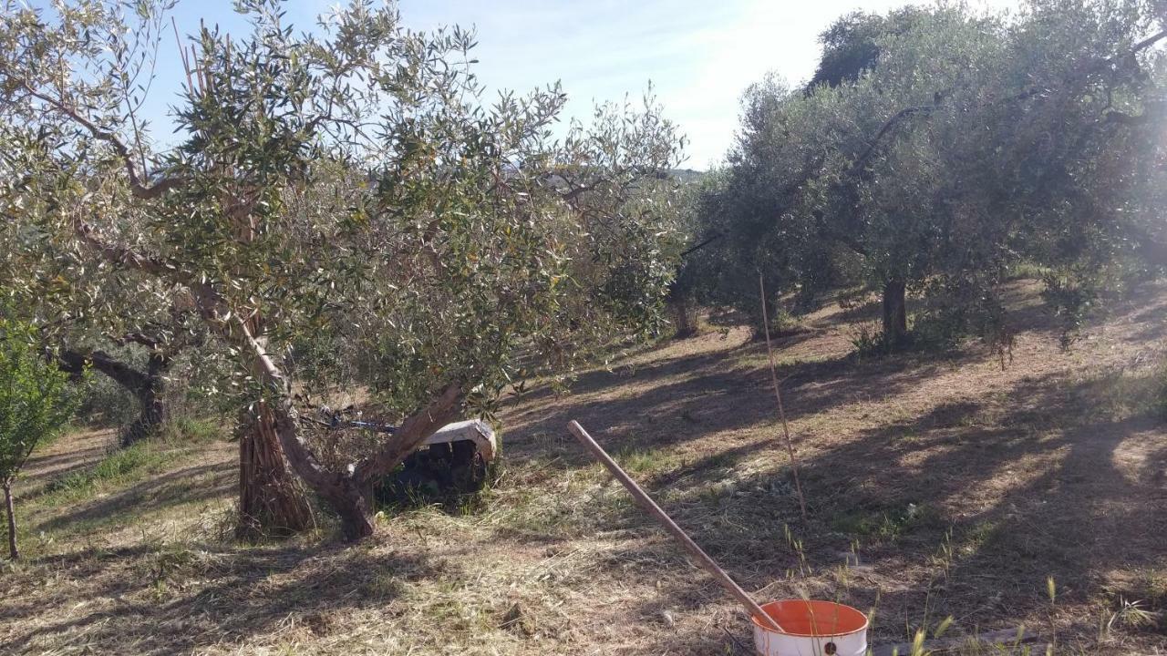 Domus Quarticelli Costa Dei Trabocchi Apartamento Torino di Sangro Exterior foto