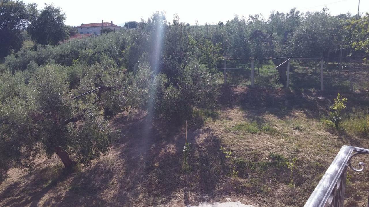 Domus Quarticelli Costa Dei Trabocchi Apartamento Torino di Sangro Exterior foto